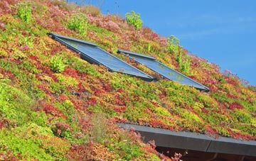 Barbaraville living roof systems